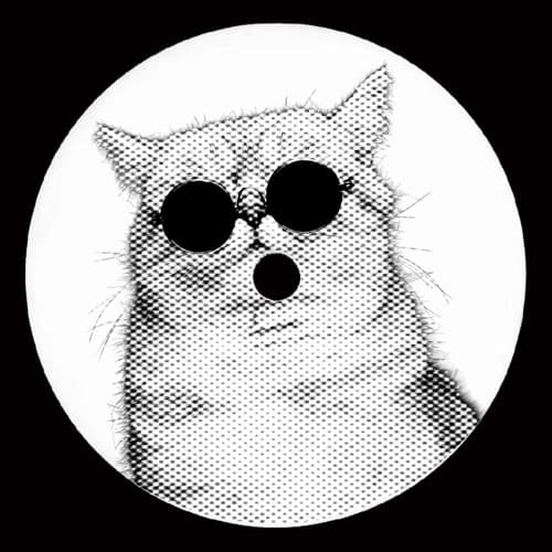 El Gato Volador (Prosekko Papi Edit)